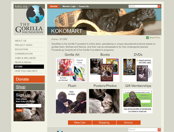 La fundación Gorila