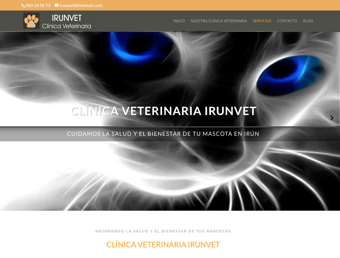 Diseño web, front-end