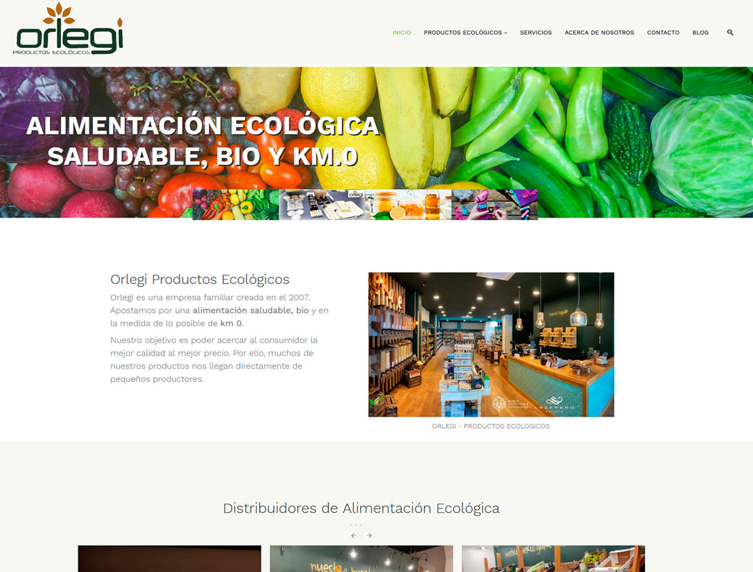 Diseño web - Irún