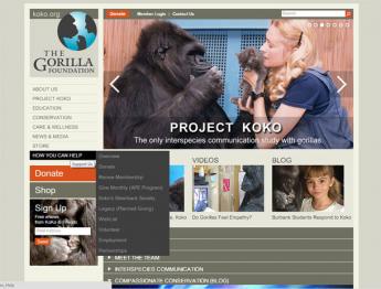 La fundación Gorila